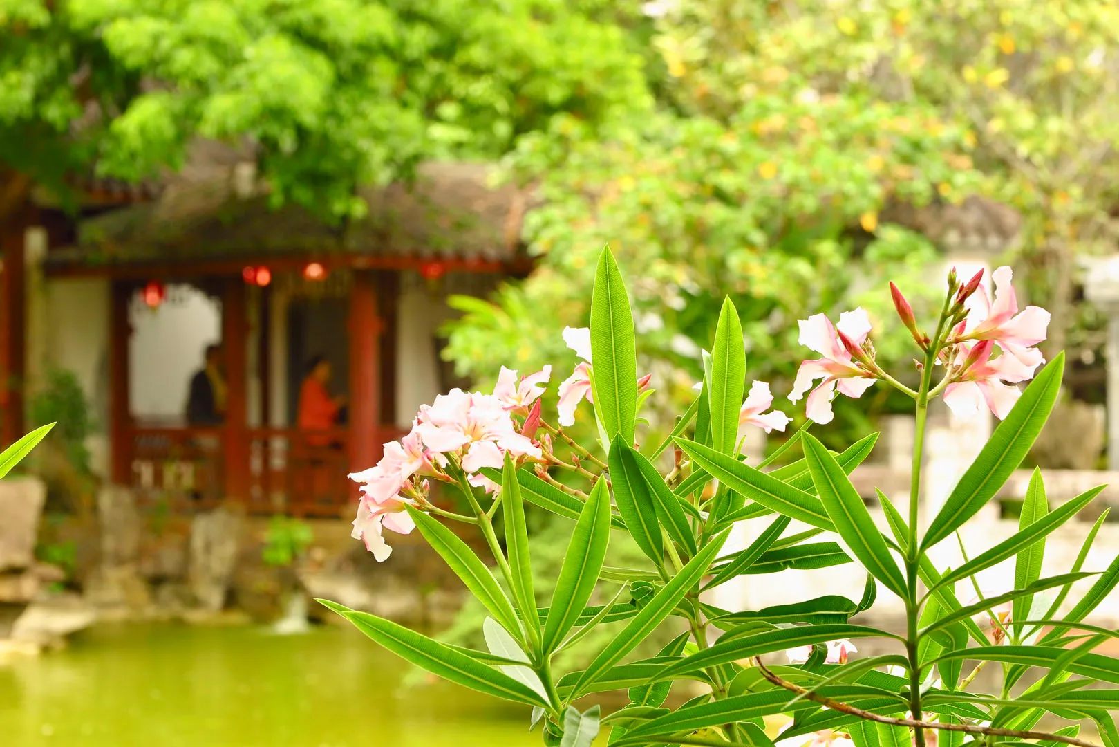 【Okinawa】Fukushu-en Garden