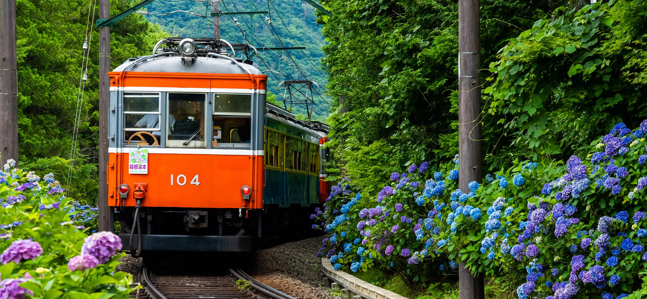 【Enjoy Hakone in 2 days and 1 night】A recommended model course for couples to enjoy hot springs and Lake Ashi.