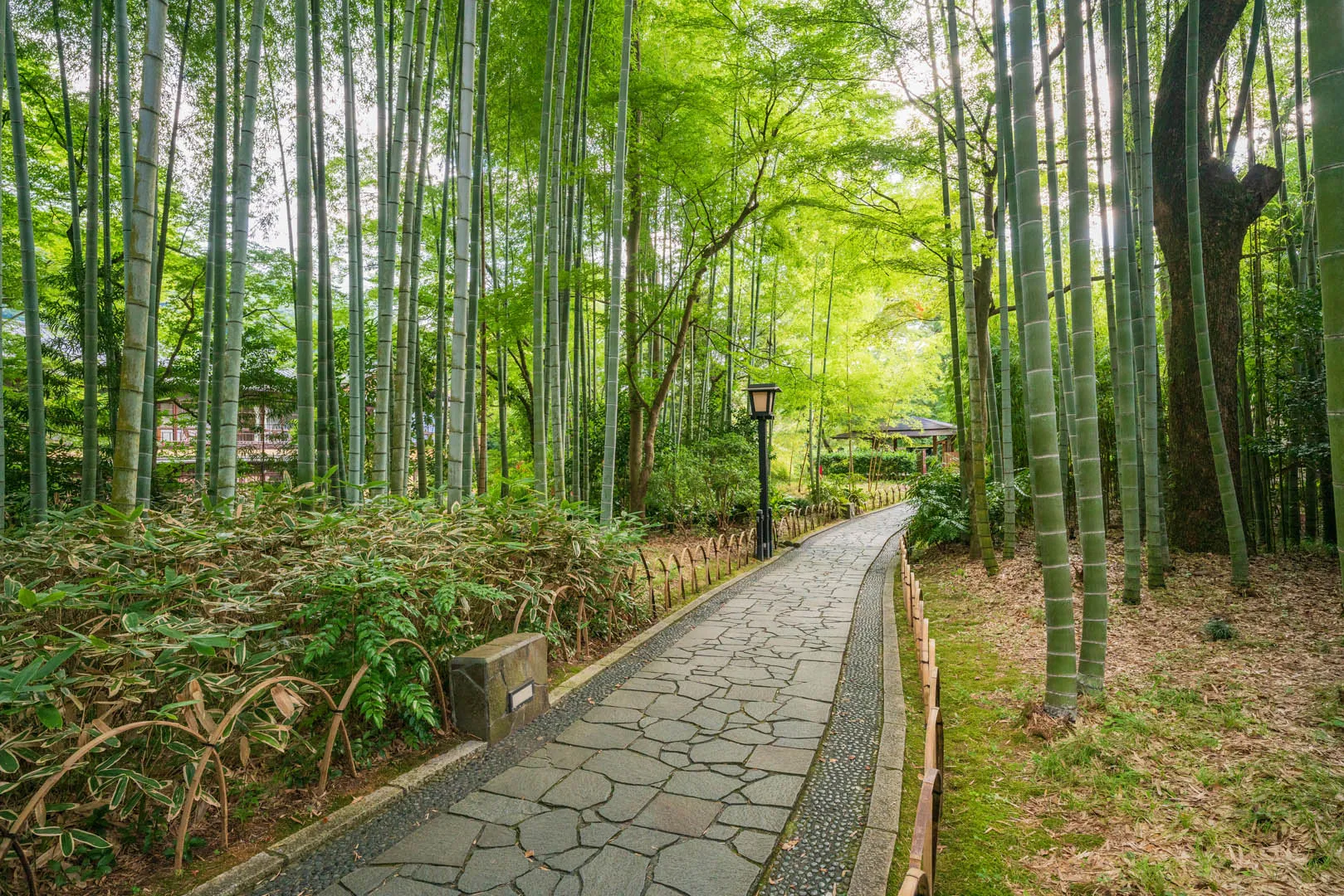 A one-night, two-day Izu model course for a romantic drive with your partner