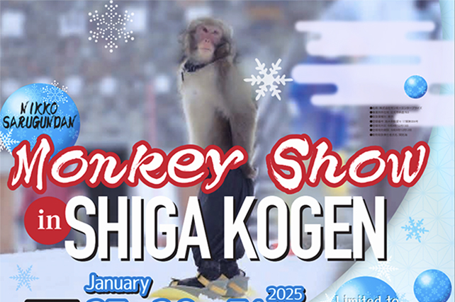 🐒Monkey Show in SHIGA KOGEN